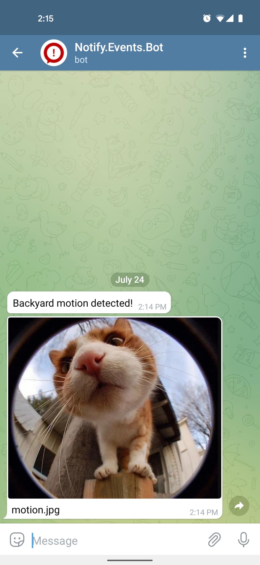 2 Home Assistant уведомление Telegram.jpeg