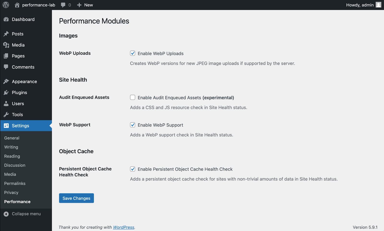  Performance Lab plugin’s settings screen.png