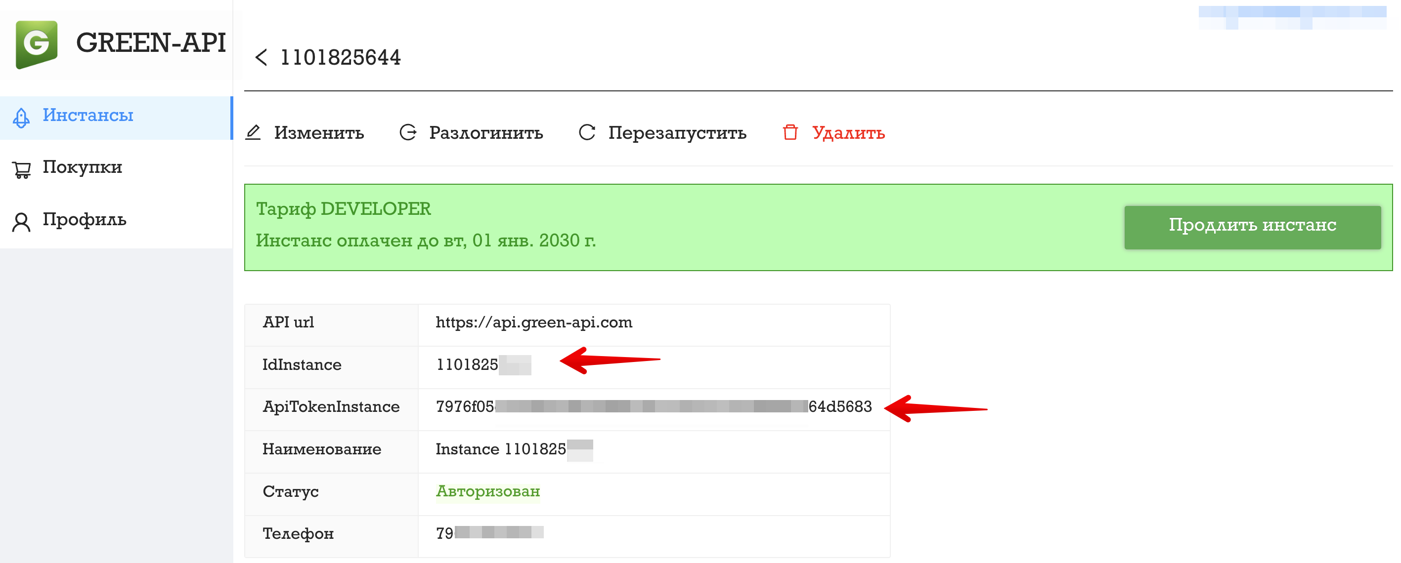 5. Инстанс Green API.png