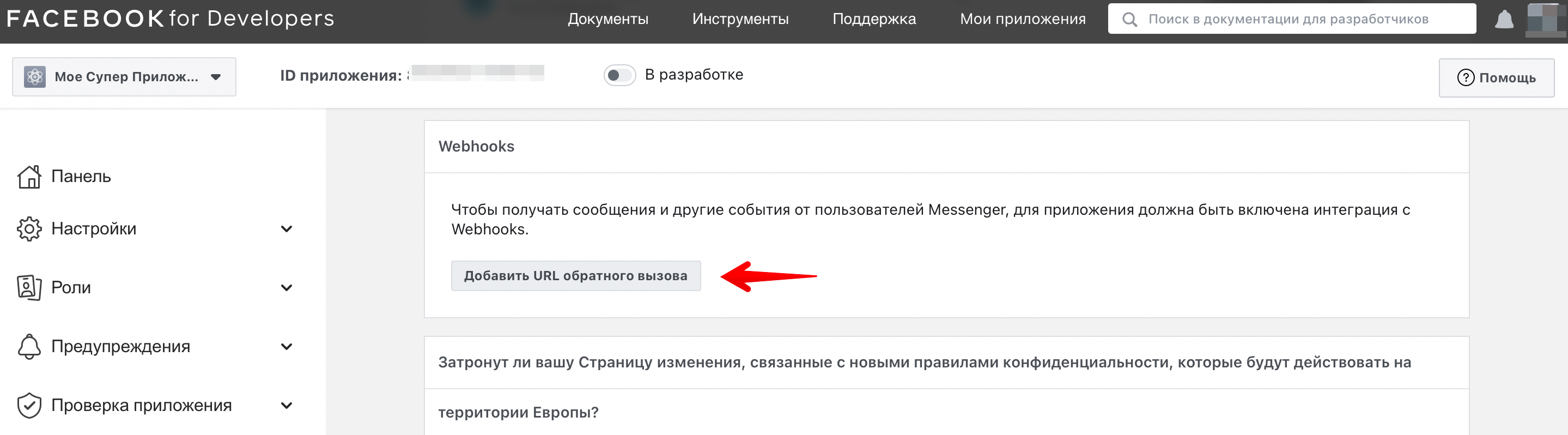 29 Создание страницы - добавьте URL обратного вызова.png